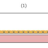 Be-transflow cells seeding