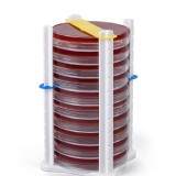 10 Plate Petri Dish Holder - White