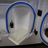 Multiwell Plate Transfer Tray - Fitted to the port