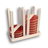 2 x New Style Petri Dish Racks in a Small Transfer Tray