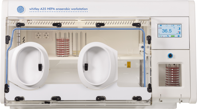 Whitley A35 HEPA Workstation