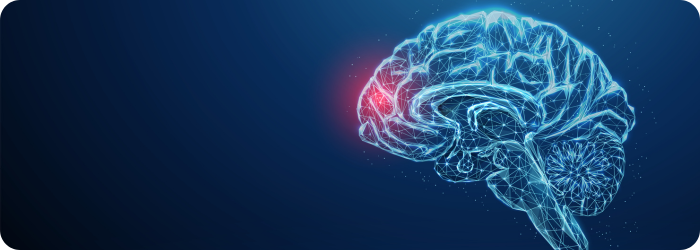 Clinical Case: What is the Role of Anaerobes in Brain Abscesses?