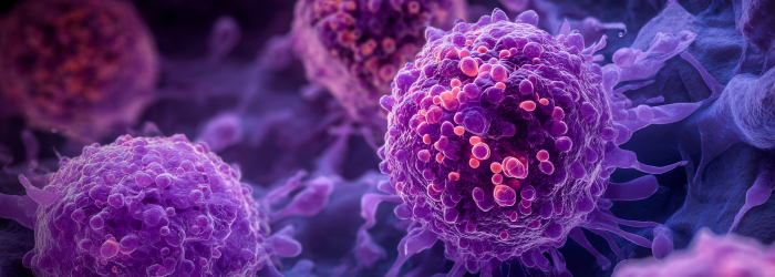 World Cancer Research day 25