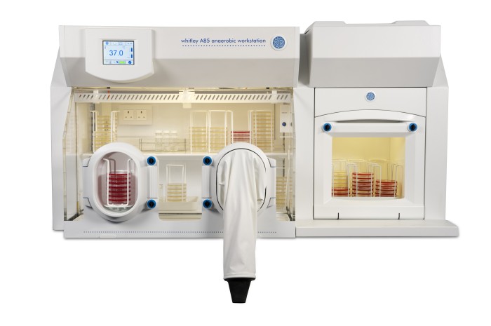 HEPA Filtration Now Available on Whitley Workstations with 36 Litre Airlocks