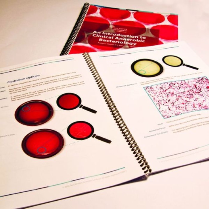 Practical Guide to Clinical Anaerobic Bacteriology