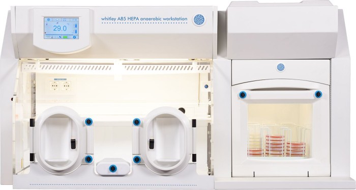 BiomeBank Announces Regulatory Approval for Donor Derived Microbiome Drug