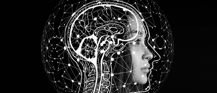 World Brain Day