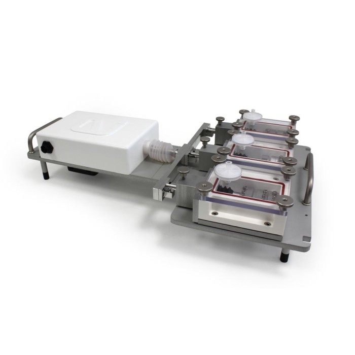 Synchronised Electrical and Mechanical Stimulation
