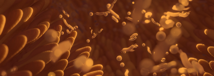 Close up illustration of the microbiome in orange tones