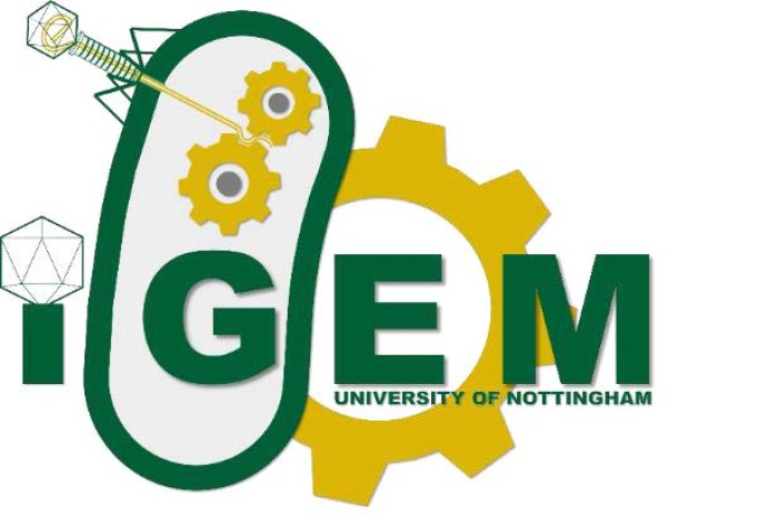 Nottingham iGEM Team Win Gold Medal!
