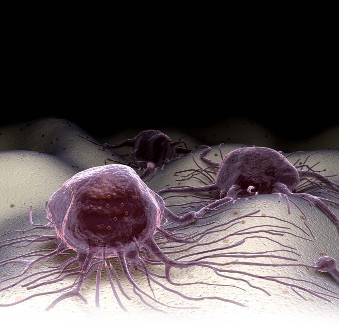 Hypoxia Webinar: Effects of Hypoxia on the Biology of Tumours and Normal Cells