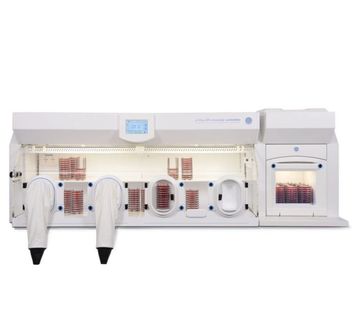When pre-mixed gas is hard to source – you need a three gas workstation
