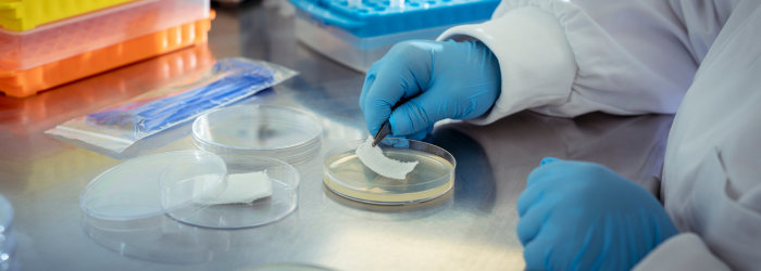 Wound dressing testing