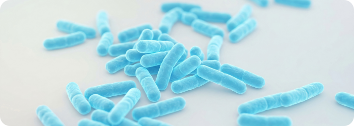 Cronobacter sakazakii: Neonatal Infections, Resistance Risk and Phage Therapy
