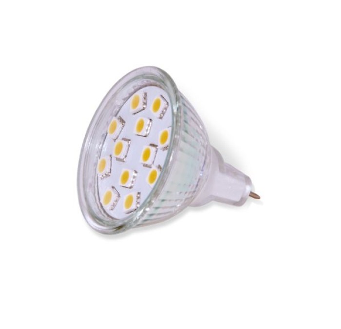 DG250 LED Spotlight Bulb