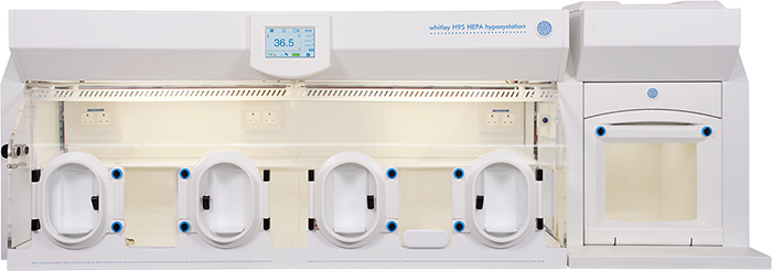 Whitley H95 HEPA Hypoxystation
