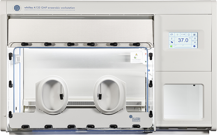 Whitley A135 GMP Isolator with Large 43 litre airlock