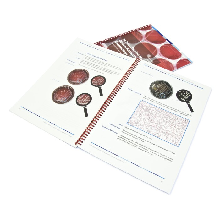 Introduction to Clinical Anaerobic Bacteriology - Bench edition