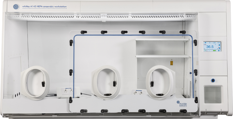 Whitley A145 HEPA Workstation