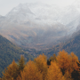 Autumn Tree Line