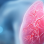 Advancing Pulmonary Hypertension Research with Controlled Hypoxic Environments