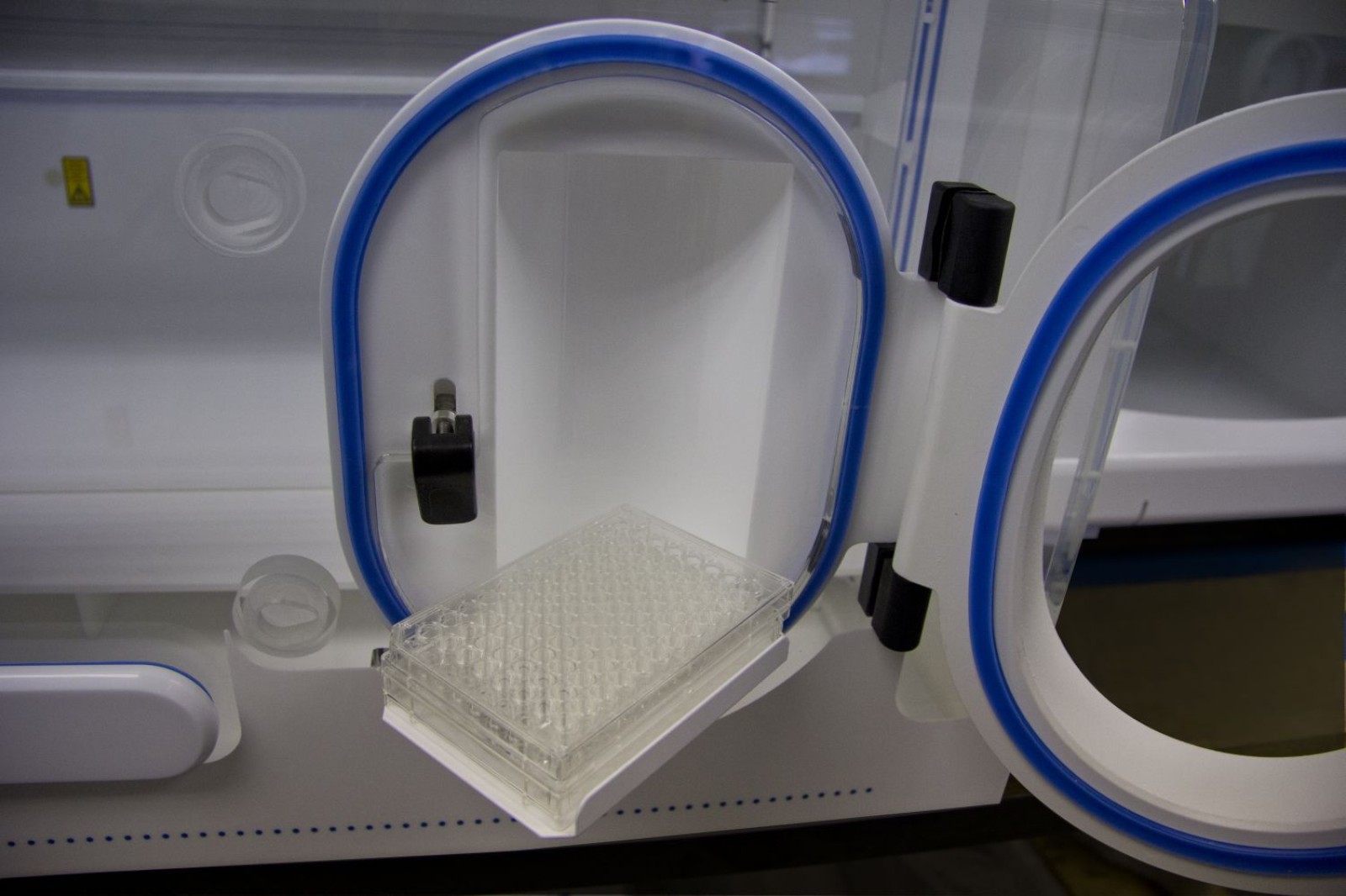 Multiwell Plate Transfer Tray