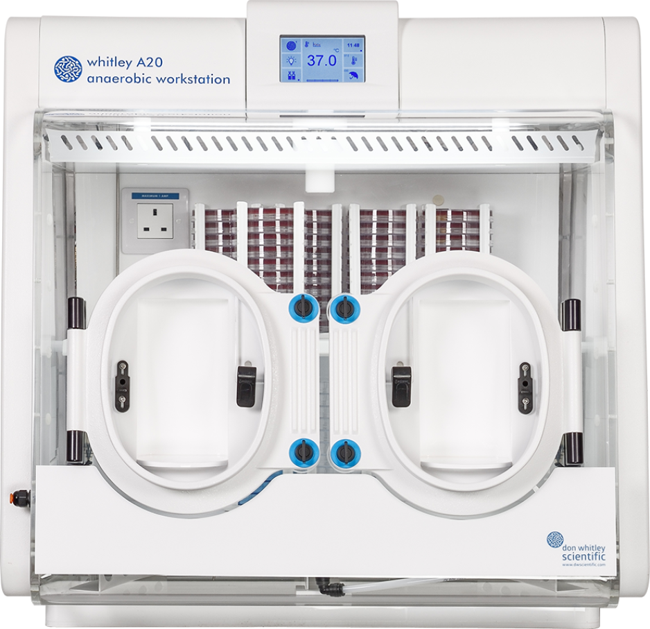 Whitley A20 Workstation