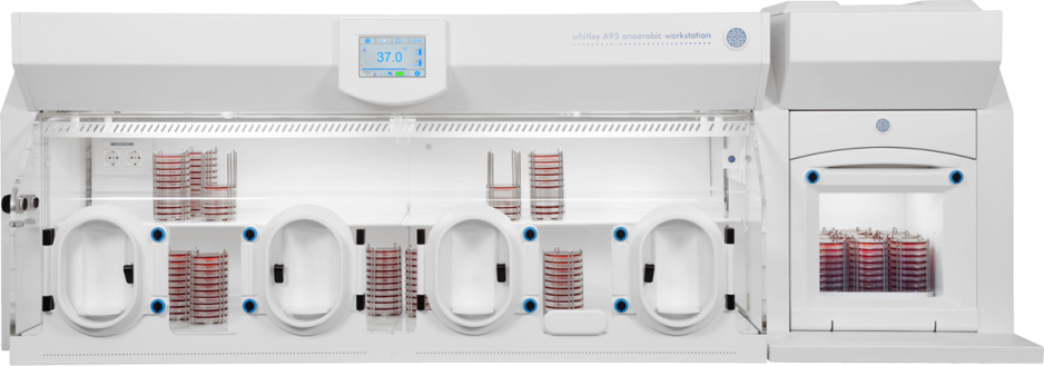 Whitley A95 Workstation
