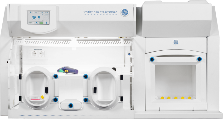Whitley H85 Hypoxystation