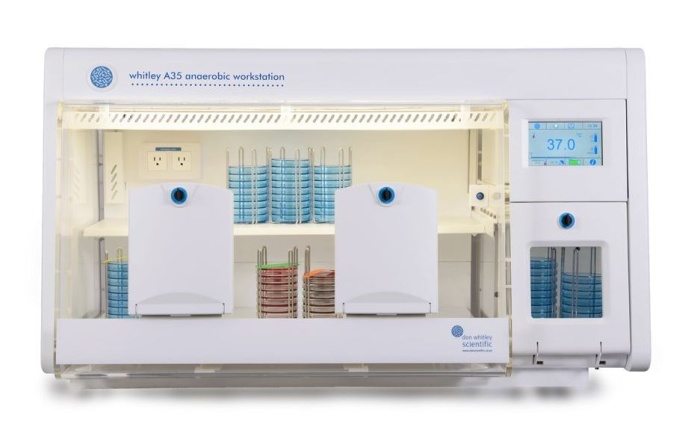 Whitley Workstation Used in Study of Gene Essentiality in C. difficile