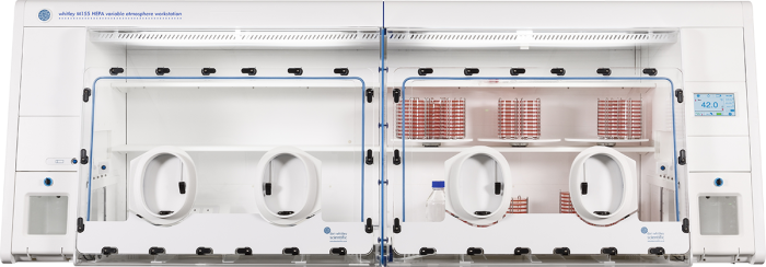 Whitley M155 HEPA Workstation image