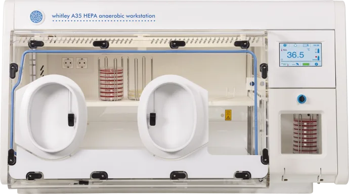 Whitley A35 HEPA Workstation