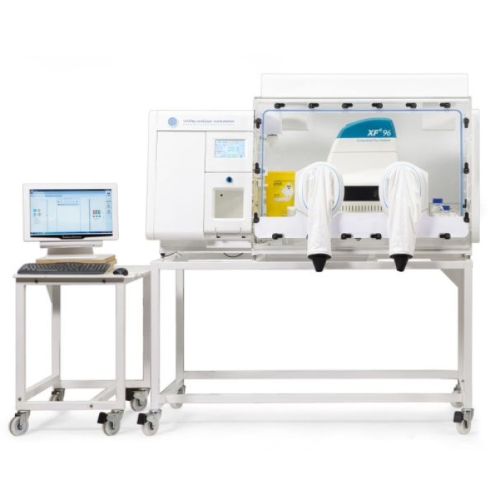 NEW Whitley i2 Instrument Workstation