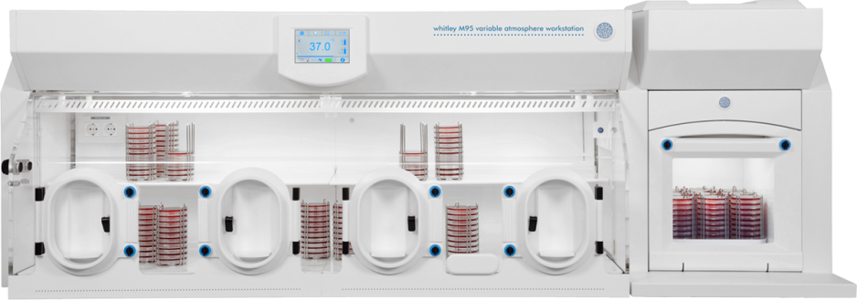 Whitley M95 Workstation