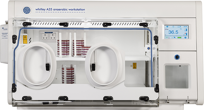 Whitley A35 Workstation image