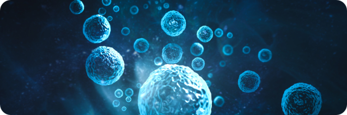Important Considerations When Modelling Hypoxia in Cancer Biology