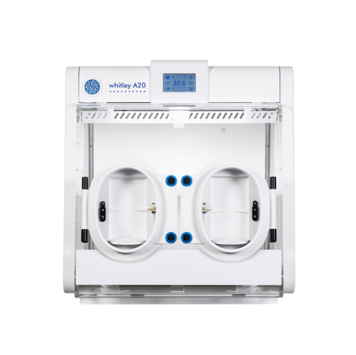 Introducing the A20 Anaerobic Workstation: Gas-efficient, Space-saving & Cost-effective