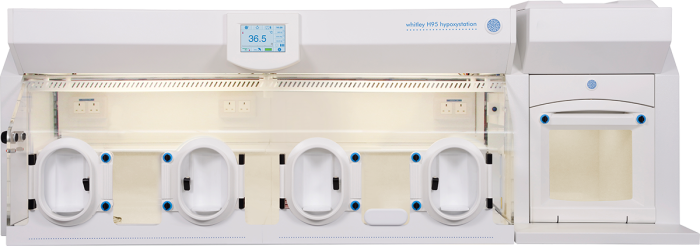 Whitley H95 Hypoxystation image