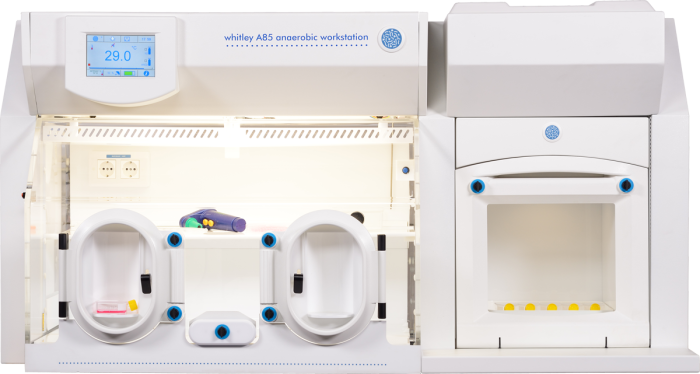 Whitley A85 Workstation image