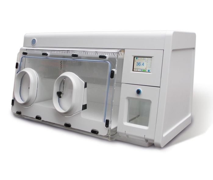 Culturing Cells in Ambient Air is Far From Physiological