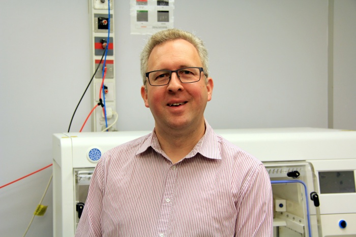 Escherichia coli and Colorectal Cancer