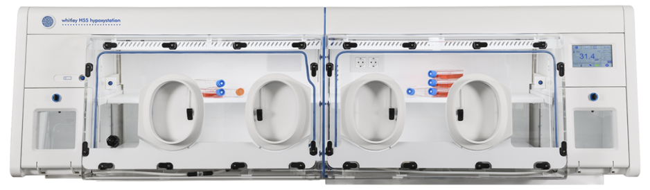 Whitley H55 Hypoxystation