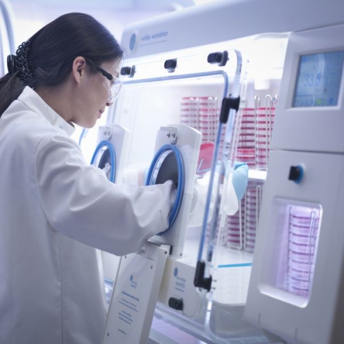 Hallmarks of Cancer: Sustaining Growth and Resisting Cell Death