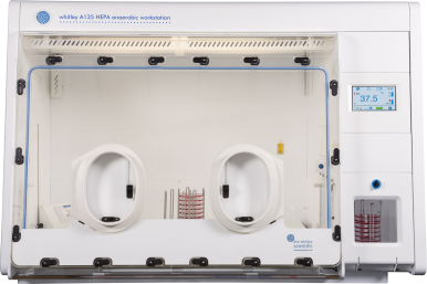 Whitley A135 HEPA Workstation